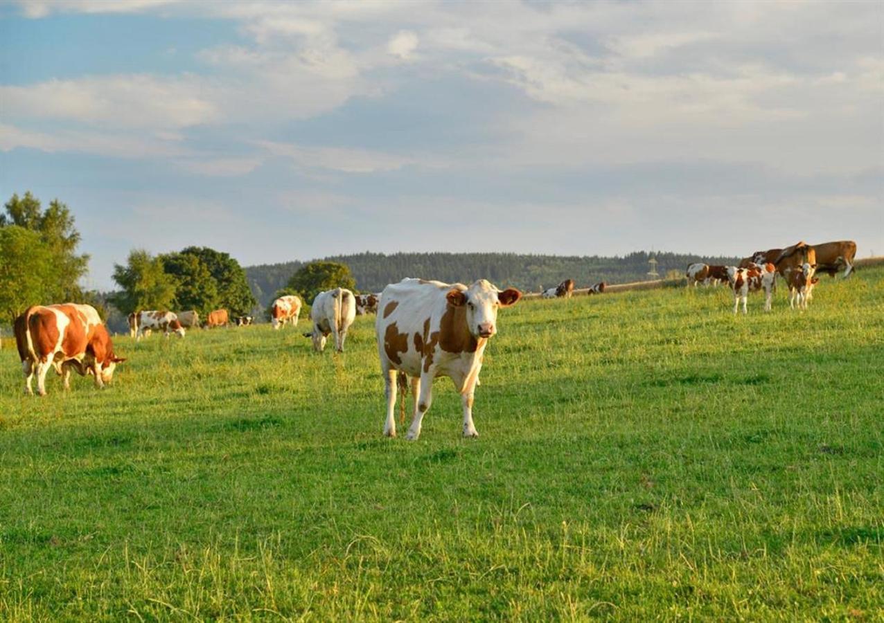 Ferienwohnung Ferienhof Kürschner Drebach Exterior foto