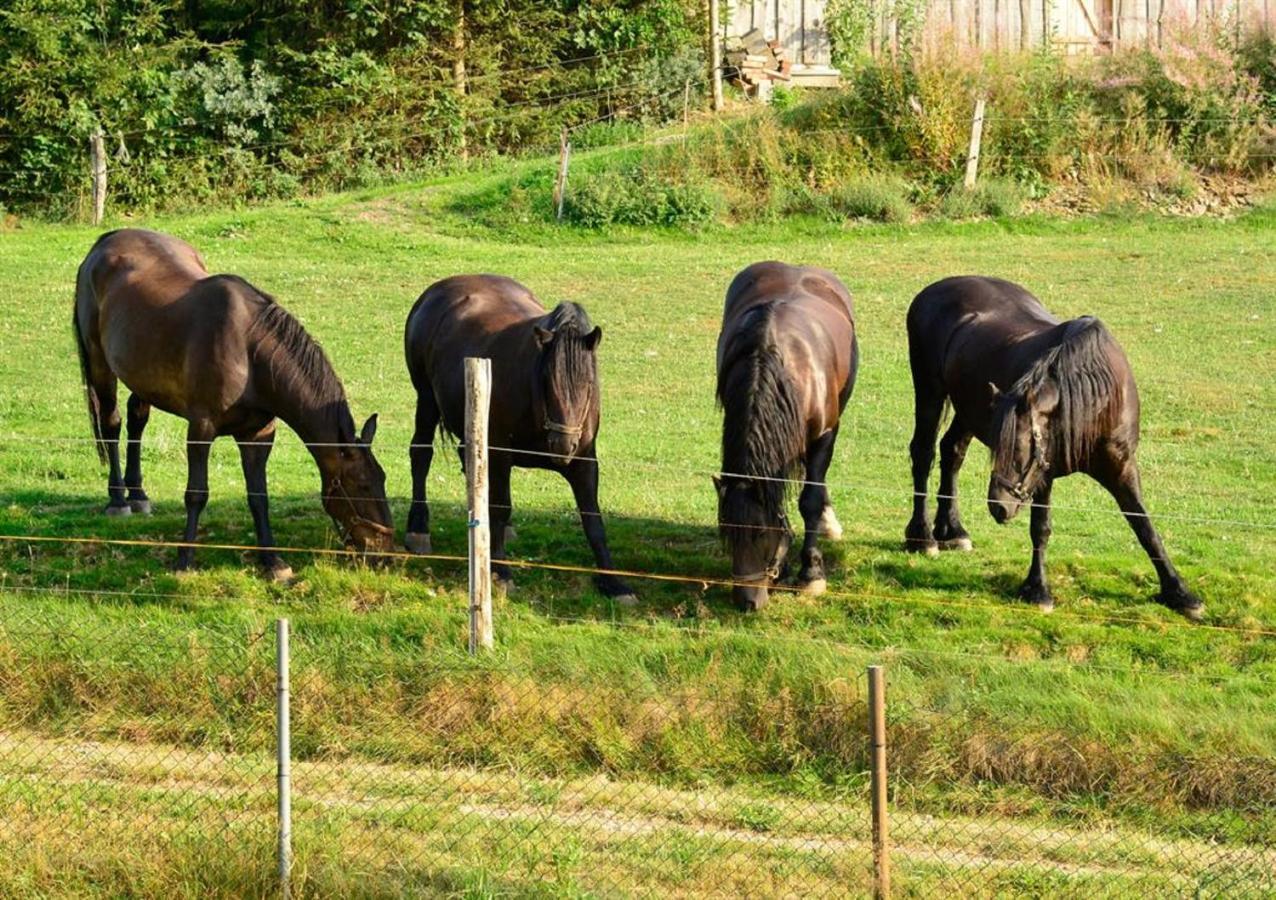 Ferienwohnung Ferienhof Kürschner Drebach Exterior foto